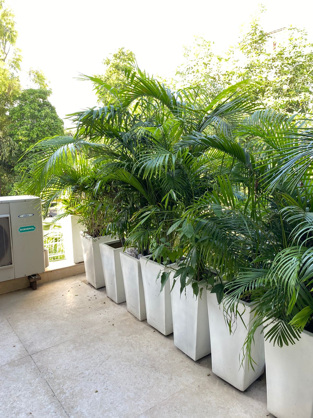 4BHK Builder Floor Available For Rent in New Friends Colony